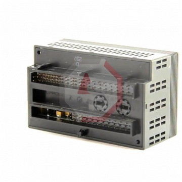 IC200ALG240 | Versamax | Emerson - GE Fanuc | Image 3
