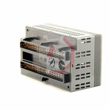 IC200ALG260 | Versamax | Emerson - GE Fanuc | Image 3