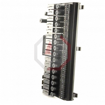 IC200CHS111 | Versamax | Emerson - GE Fanuc | Image 2