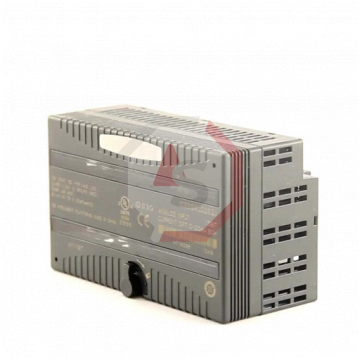 IC200ALG262 | Versamax | Emerson - GE Fanuc | Image 5